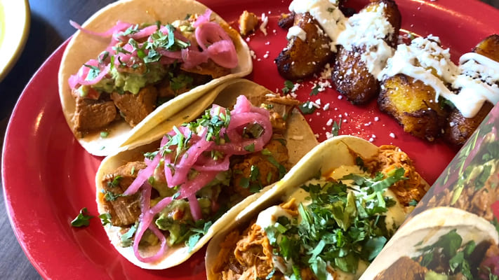 Cochinita pibil tacos asheville multicultural
