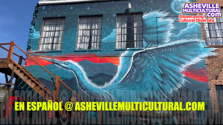 The ace bikes blog in asheville asheville multicultural 6 asheville multicultural