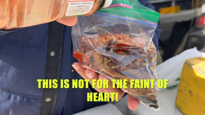 Eating bugs in asheville 4 blog asheville multicultural