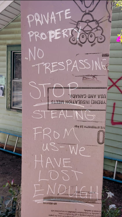 Asheville's resilience c