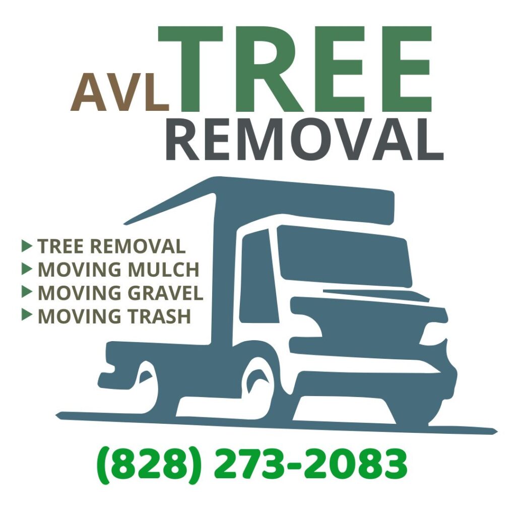 Poster Avl tree removal